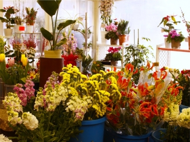 「新花園」　（石川県鳳珠郡能登町）の花屋店舗写真4