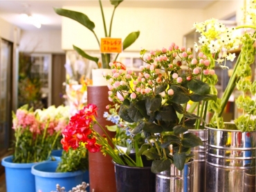 「新花園」　（石川県鳳珠郡能登町）の花屋店舗写真2